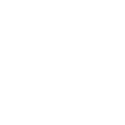 Security Gadgets